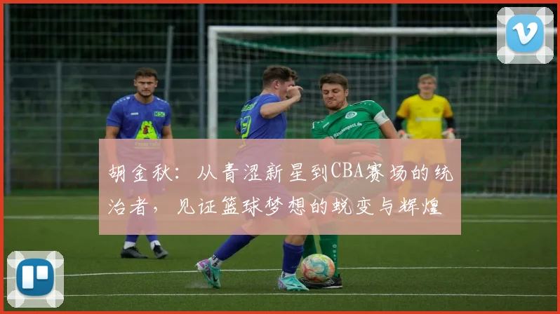 胡金秋：从青涩新星到CBA赛场的统治者，见证篮球梦想的蜕变与辉煌