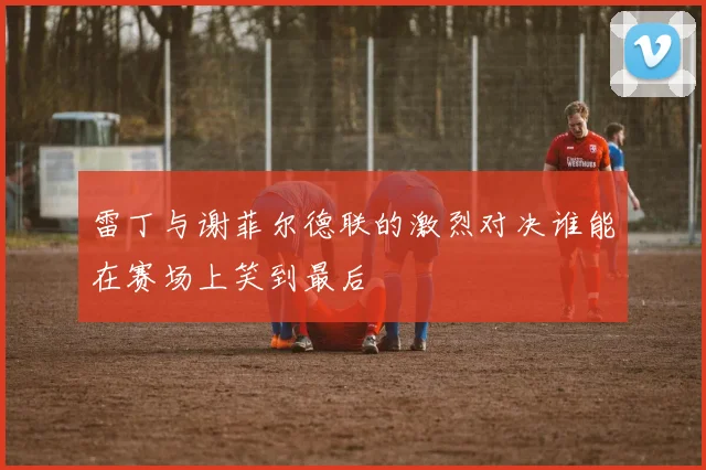 雷丁与谢菲尔德联的激烈对决谁能在赛场上笑到最后